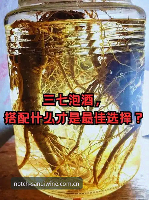 三七泡酒登录 三七泡酒登录实用指南——数据面板、下载操作与避坑全知道