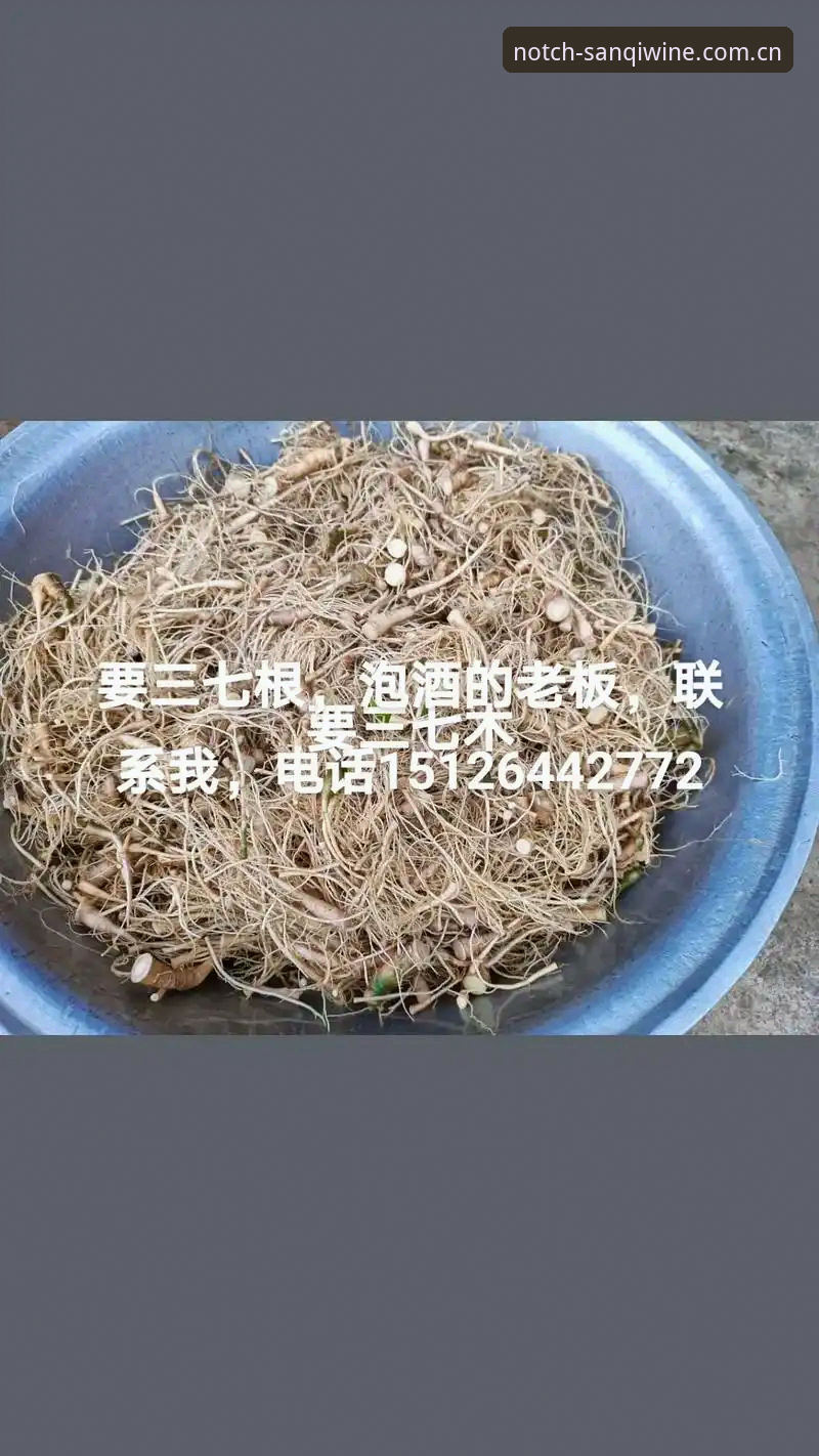 三七泡酒安卓端vs官网版：功能对比与Sānqī Wine CN下载全攻略