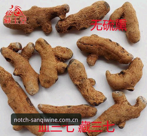 三七泡酒坊登录与数据面板使用教程｜v2.2.1实战操作指南